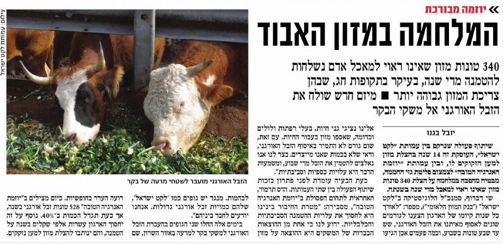 כתבה על לקט ישראל במעריב