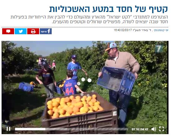 כתבה על לקט ישראל בערוץ 7