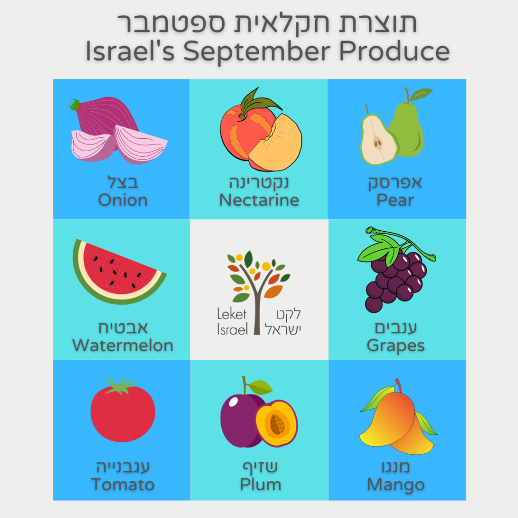 תוצרת חקלאית חודש ספטמבר