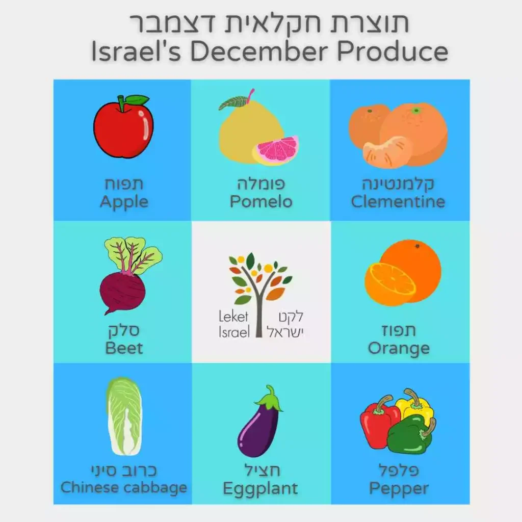 תוצרת חקלאית דצמבר