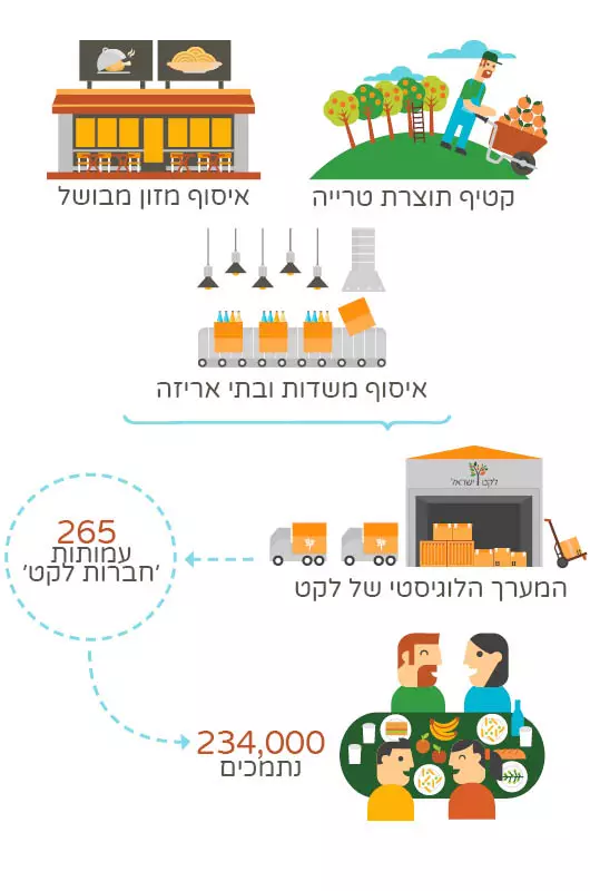 סיכום נתונים