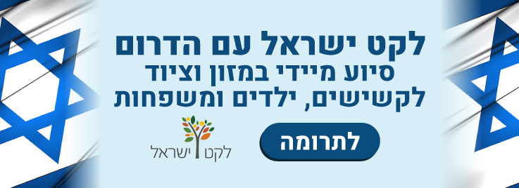 מלחמת-חרב-ברזל-באנר-גדול-לאתר